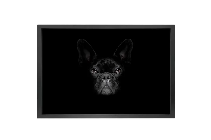 Canvas med sort ramme 90x150cm. Flere motiver - Bilde 5