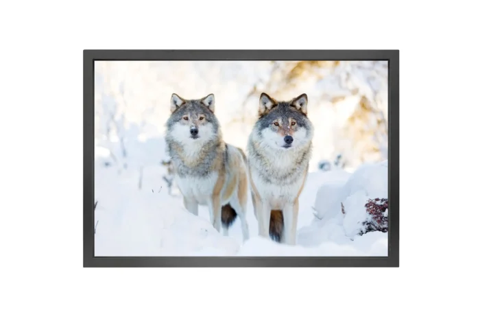 Canvas med sort ramme 90x150cm. Flere motiver
